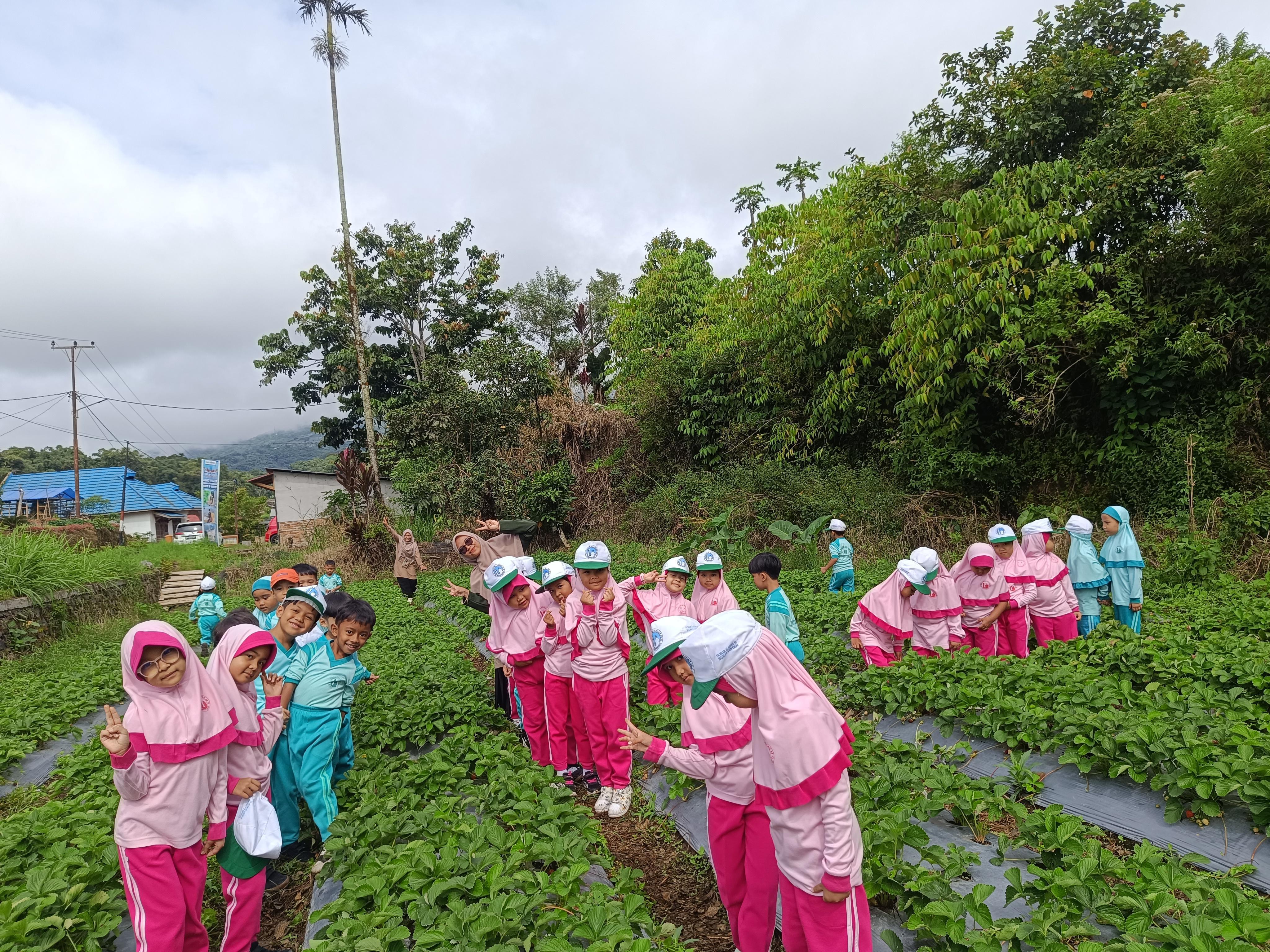 Field Trip to Strawberry Garden foto 1